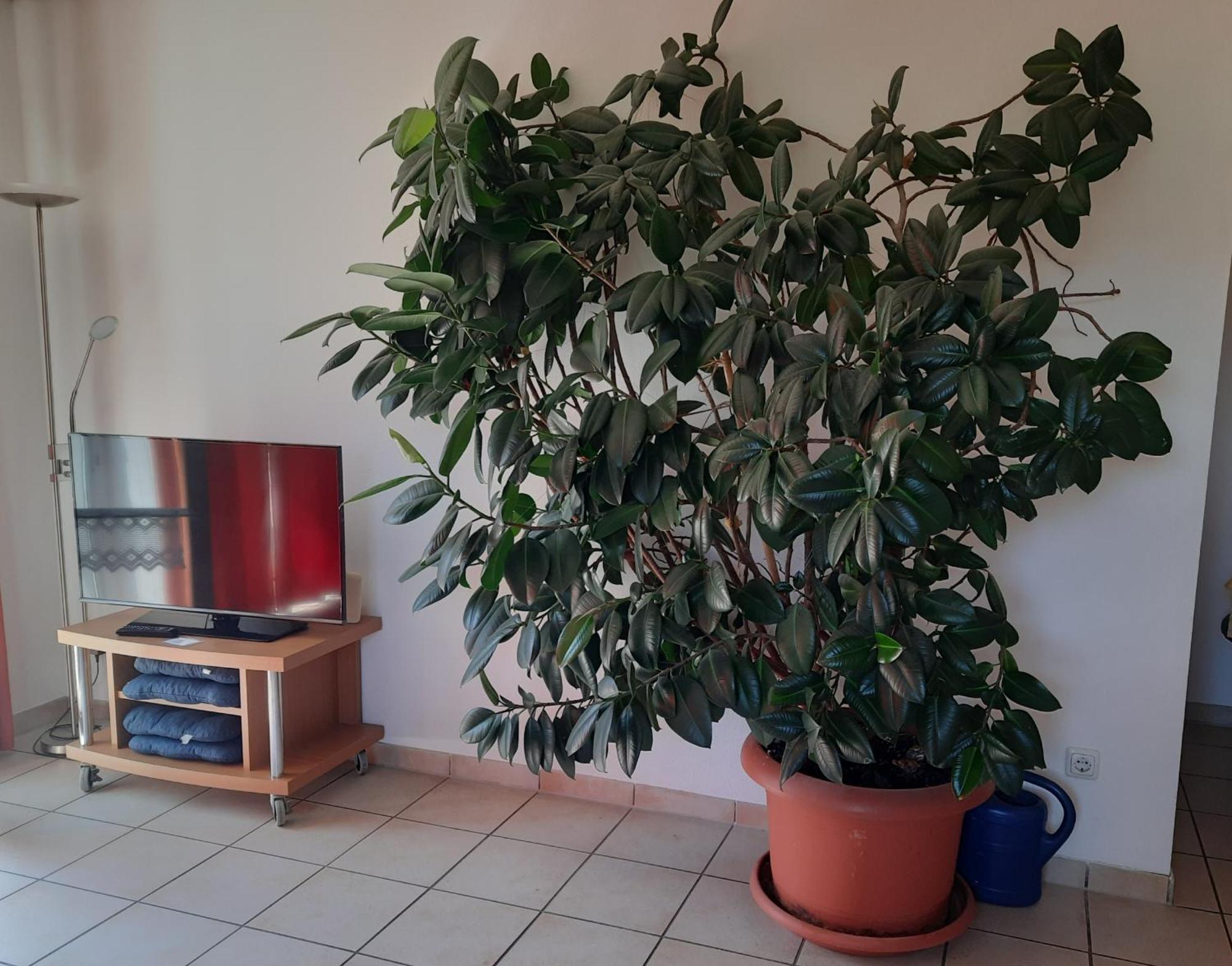 Ferienwohnung Ferstl Riedenburg Buitenkant foto
